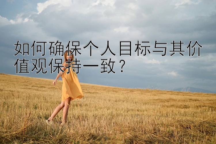 如何确保个人目标与其价值观保持一致？