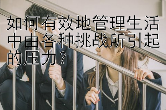 如何有效地管理生活中由各种挑战所引起的压力？