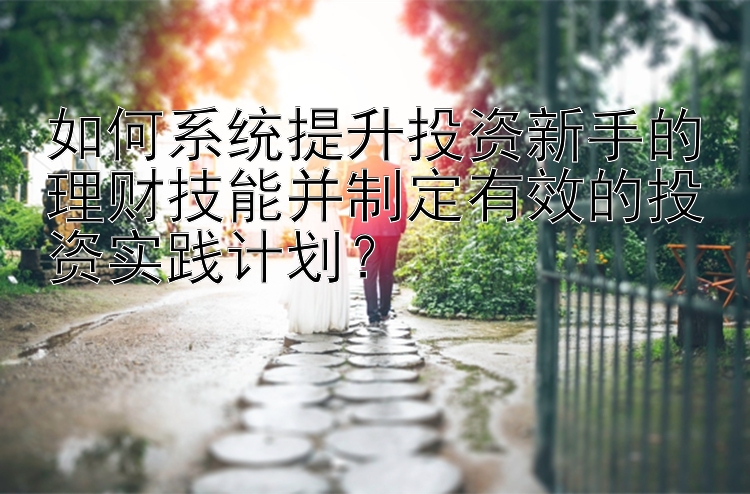 如何系统提升投资新手的理财技能并制定有效的投资实践计划？