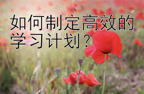 如何制定高效的学习计划？