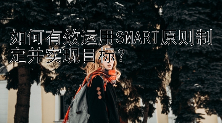 如何有效运用SMART原则制定并实现目标？