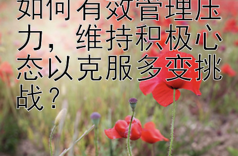 如何有效管理压力，维持积极心态以克服多变挑战？