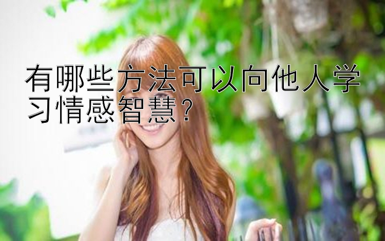 有哪些方法可以向他人学习情感智慧？