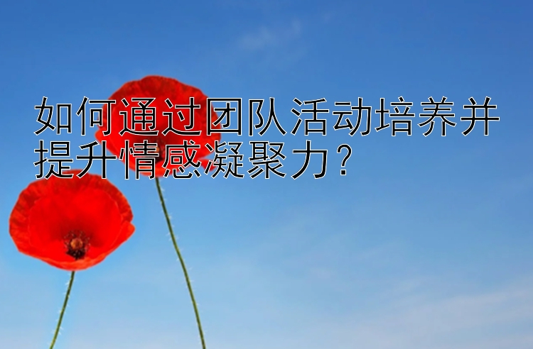 如何通过团队活动培养并提升情感凝聚力？