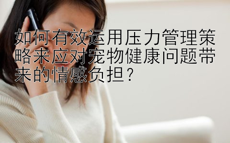 如何有效运用压力管理策略来应对宠物健康问题带来的情感负担？