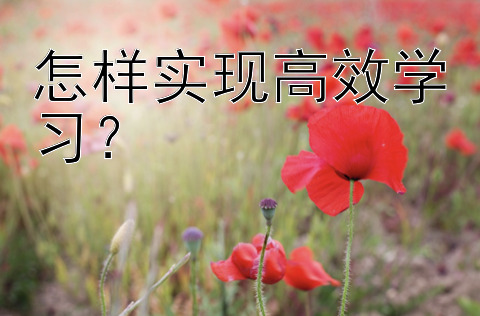 怎样实现高效学习？