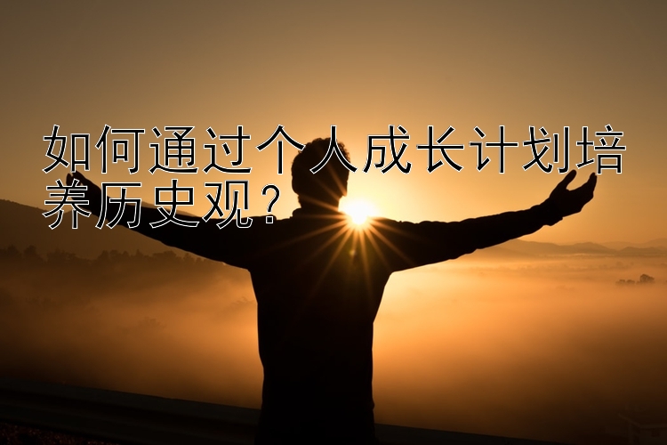 如何通过个人成长计划培养历史观？