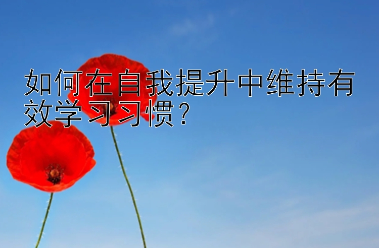 如何在自我提升中维持有效学习习惯？