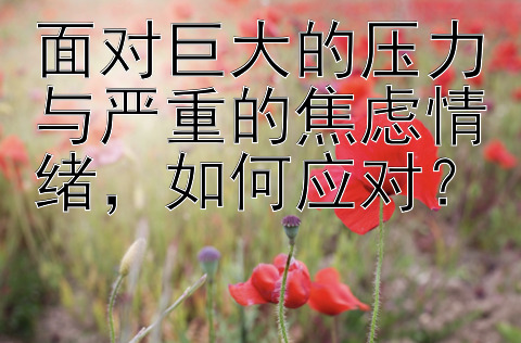 面对巨大的压力与严重的焦虑情绪，如何应对？