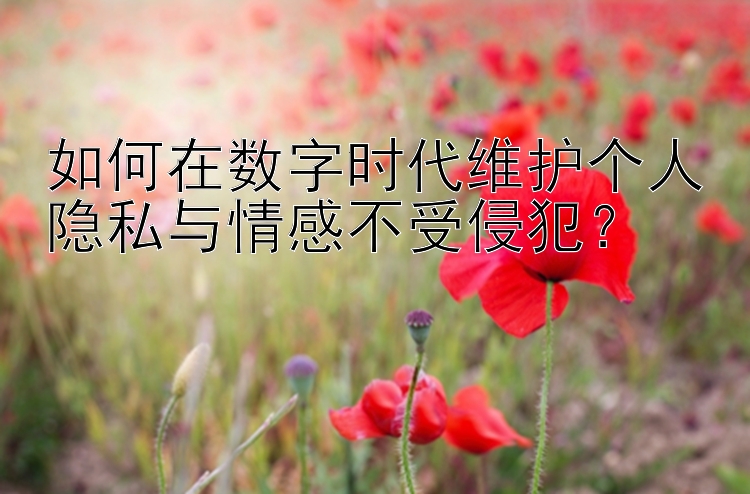 如何在数字时代维护个人隐私与情感不受侵犯？