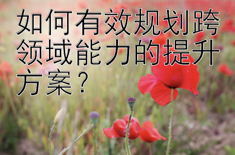 如何有效规划跨领域能力的提升方案？